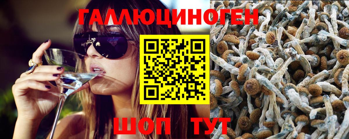 Галлюциногенные грибы Psilocybine cubensis  Псилоцибиновые грибы GOLDEN TEACHER  Вход с VPN  Альметьевск 